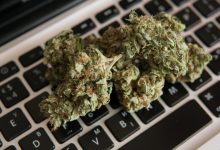 buy weed online vpn